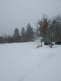 20160301_152544_resized_1.jpg (838236 bytes)