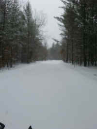 20160301_160801_resized.jpg (765272 bytes)