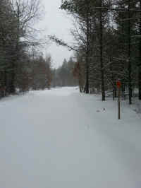 20160301_160813_resized.jpg (1372811 bytes)