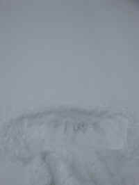 20160301_160821_resized.jpg (671623 bytes)