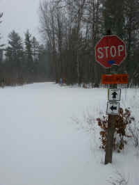 20160301_161559_resized.jpg (1276212 bytes)