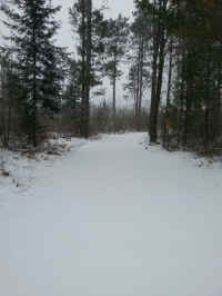 20160301_161615_resized.jpg (1198780 bytes)