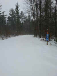 20160301_161628_resized.jpg (1263832 bytes)