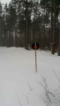 20160301_175520_resized.jpg (1158913 bytes)