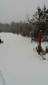 20160301_175533_resized.jpg (1208407 bytes)