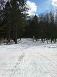 20160304_144933_resized.jpg (1536581 bytes)