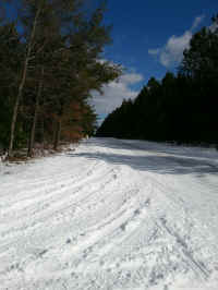 20160304_144936_resized.jpg (1421733 bytes)