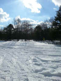 20160304_145448_resized.jpg (1591935 bytes)