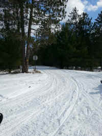 20160304_145457_resized.jpg (1654761 bytes)