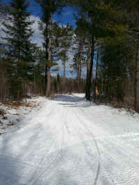 20160304_150215_resized.jpg (1770656 bytes)