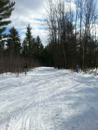 20160304_150220_resized.jpg (1913379 bytes)