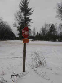 1216171314c.jpg (2516630 bytes)