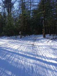 1227171128.jpg (3941237 bytes)