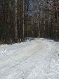 1227171144b.jpg (3450600 bytes)