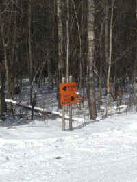 1227171144c.jpg (3076622 bytes)