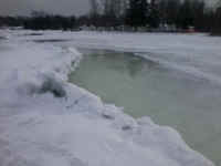 0211171346.jpg (83217 bytes)