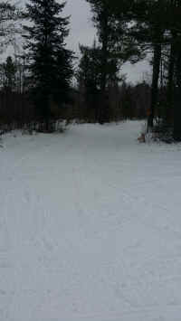 2017020195154642.jpg (280725 bytes)