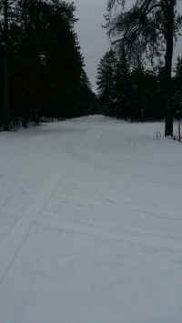 20170201_153647.jpg (217043 bytes)