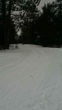 20170201_153709.jpg (229959 bytes)