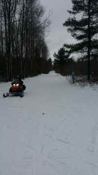 20170201_154637.jpg (320647 bytes)