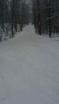 20170212_091812_resized.jpg (756392 bytes)