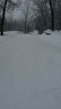 20170212_091817_resized.jpg (691149 bytes)