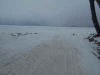 DSCN1787.JPG (463176 bytes)