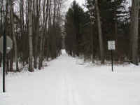 IMG_1615.JPG (6387054 bytes)