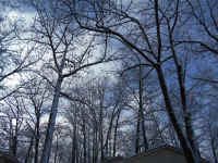 DSCN0926.JPG (437122 bytes)