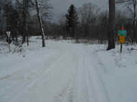 DSCN1186.JPG (467233 bytes)