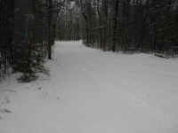 DSCN1187.JPG (458579 bytes)