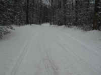 DSCN1193.JPG (469637 bytes)