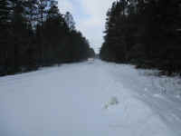 IMG_0705.JPG (4730563 bytes)