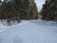 IMG_0707.JPG (6092049 bytes)