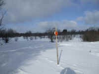 IMG_0712.JPG (5162923 bytes)