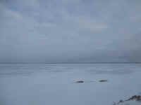 IMG_0742.JPG (4286530 bytes)