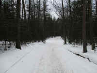 IMG_0745.JPG (5897504 bytes)