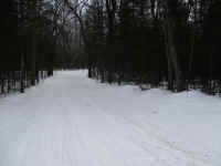 IMG_0747.JPG (5183937 bytes)