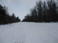 IMG_0775.JPG (5164105 bytes)