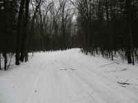 IMG_0782.JPG (5758876 bytes)