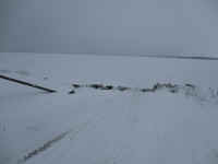 IMG_0786.JPG (4298493 bytes)