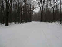 IMG_0799.JPG (6361414 bytes)