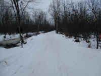 IMG_1233.JPG (1441130 bytes)