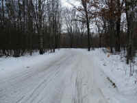 IMG_1240.JPG (1676210 bytes)