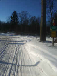 0109180937.jpg (5156363 bytes)