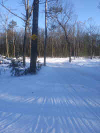 0109180941b.jpg (5800047 bytes)