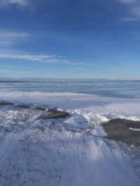 0112181536a.jpg (4001133 bytes)