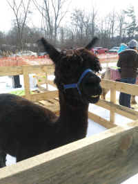 0120181225.jpg (4804552 bytes)